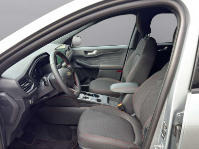 Ford Kuga Vorführwagen
