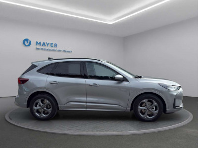 Ford Kuga Vorführwagen
