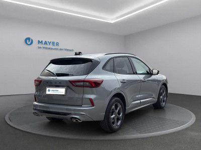 Ford Kuga Vorführwagen