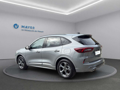 Ford Kuga Vorführwagen