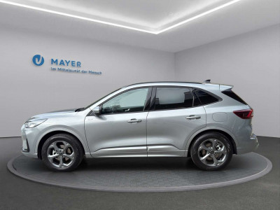 Ford Kuga Vorführwagen