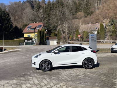 Ford Puma Vorführwagen Ford Puma Vorführwagen