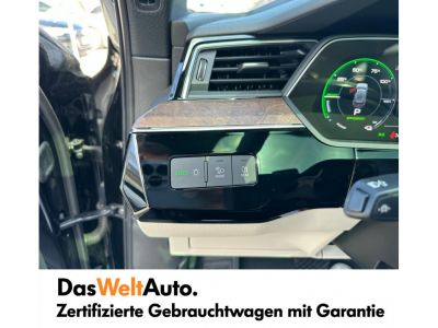 Audi Q8 e-tron Gebrauchtwagen