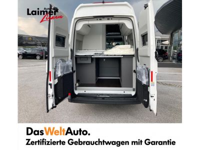 VW California Gebrauchtwagen