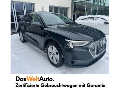 Audi Q8 e-tron Gebrauchtwagen