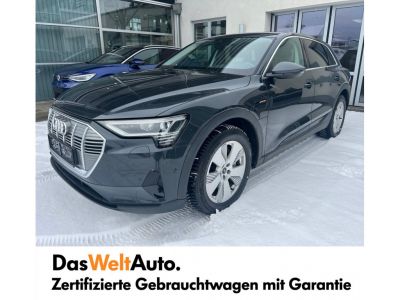 Audi Q8 e-tron Gebrauchtwagen