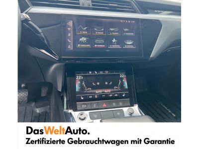 Audi Q8 e-tron Gebrauchtwagen