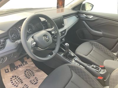 Skoda Kamiq Gebrauchtwagen