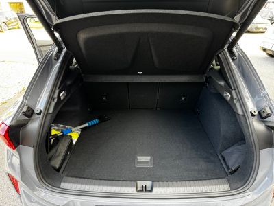 Cupra Terramar Gebrauchtwagen