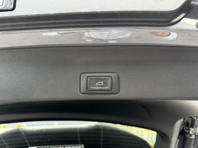 Cupra Terramar Gebrauchtwagen