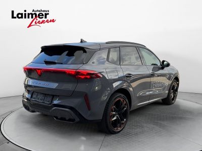 Cupra Terramar Gebrauchtwagen