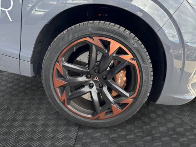 Cupra Terramar Gebrauchtwagen