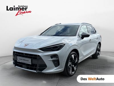Cupra Terramar Gebrauchtwagen