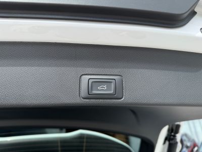 Cupra Terramar Gebrauchtwagen