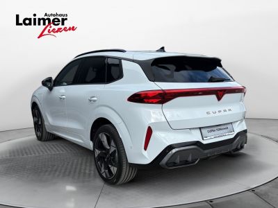 Cupra Terramar Gebrauchtwagen