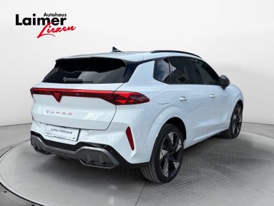 Cupra Terramar Gebrauchtwagen