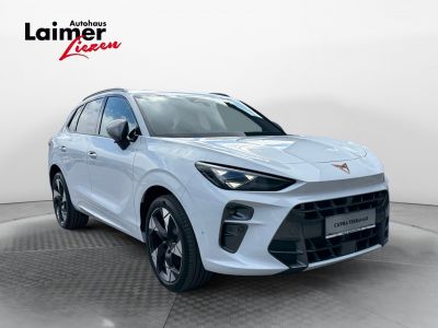 Cupra Terramar Gebrauchtwagen