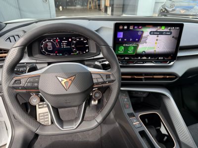 Cupra Terramar Gebrauchtwagen