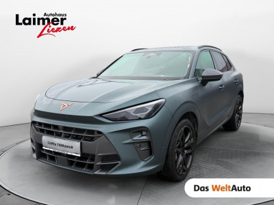 Cupra Terramar Gebrauchtwagen Cupra Terramar Gebrauchtwagen