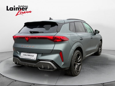 Cupra Terramar Gebrauchtwagen Cupra Terramar Gebrauchtwagen
