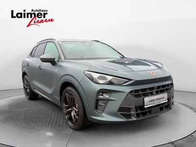 Cupra Terramar Gebrauchtwagen Cupra Terramar Gebrauchtwagen