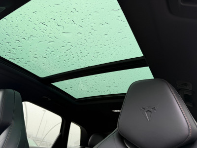 Cupra Terramar Gebrauchtwagen Cupra Terramar Gebrauchtwagen