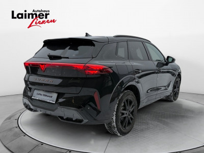 Cupra Terramar Gebrauchtwagen