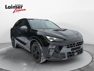 Cupra Terramar Gebrauchtwagen