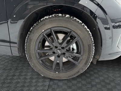 Cupra Terramar Gebrauchtwagen