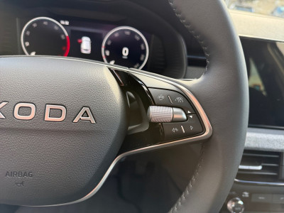 Skoda Kamiq Gebrauchtwagen