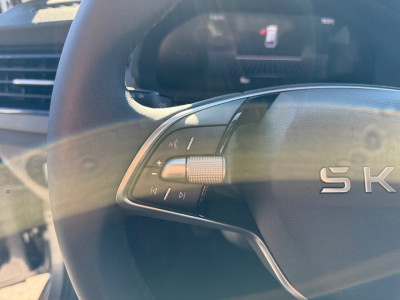 Skoda Scala Gebrauchtwagen Skoda Scala Gebrauchtwagen