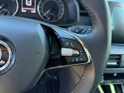 Skoda Kamiq Gebrauchtwagen