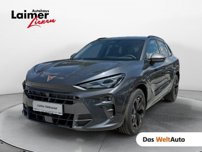 Cupra Terramar Gebrauchtwagen