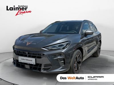 Cupra Terramar Gebrauchtwagen