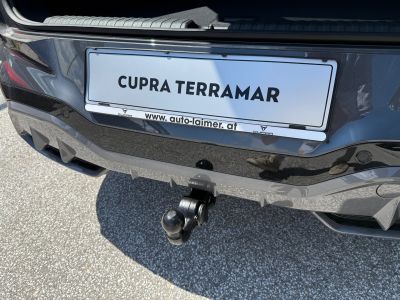 Cupra Terramar Gebrauchtwagen Cupra Terramar Gebrauchtwagen