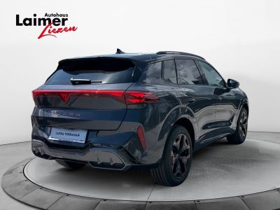 Cupra Terramar Gebrauchtwagen Cupra Terramar Gebrauchtwagen