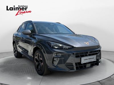 Cupra Terramar Gebrauchtwagen Cupra Terramar Gebrauchtwagen