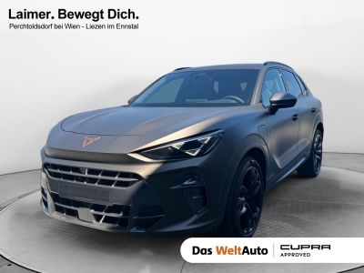 Cupra Terramar Gebrauchtwagen