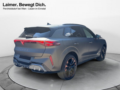 Cupra Terramar Gebrauchtwagen Cupra Terramar Gebrauchtwagen