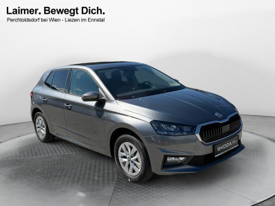 Skoda Fabia Gebrauchtwagen Skoda Fabia Gebrauchtwagen