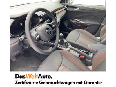 Skoda Fabia Gebrauchtwagen