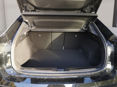 Renault Rafale Vorführwagen