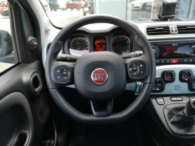 Fiat Panda Gebrauchtwagen