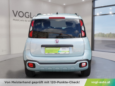 Fiat Panda Gebrauchtwagen