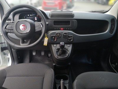 Fiat Panda Vorführwagen