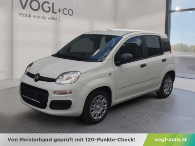 Fiat Panda Vorführwagen