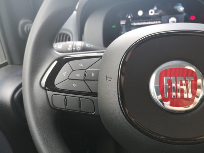 Fiat Panda Vorführwagen