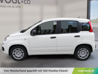 Fiat Panda Vorführwagen