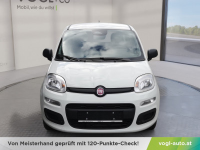 Fiat Panda Vorführwagen