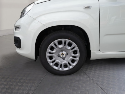 Fiat Panda Vorführwagen